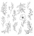 flower and leaf hand draw sketch black white w vector image