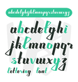 hand drawn calligraphic font vector image