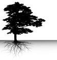 tree vector image vector image