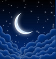 starry moonlit night vector image vector image