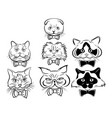 set cartoon cats face collection cute vector image