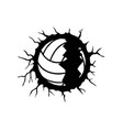 volleyball player name image vector image