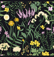 botanical seamless pattern with flowering vector image