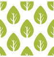 seamless foliage pattern green leaf vector image