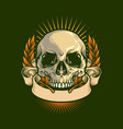 skull drawing anatomy with ribbon vintage vector image