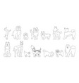 dog character linear cartoon collection vector image