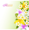 beautiful flowers background vector image