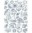 beach stuff vector image