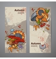 set vertical banners of colored autumn doodle vector image vector image