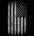 american grunge flag vector image