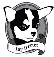 toy terrier portrait isolated dog vector image