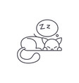 sleeping cat line icon concept vector image
