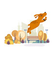 flying dog on background autumn park isolated vector image vector image