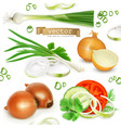 onion set realistic icons vector image
