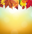 autumn border vector image