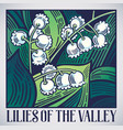 flowers lilies of the valley in graphic style vector image vector image