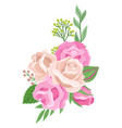 pastel rose composition floral decoration vector image