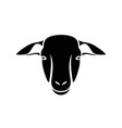 sheep vector image