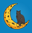 cat sitting on cartoon moon pop art vector image