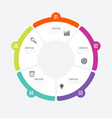 infographics template 5 options with circle vector image