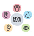 Icon set five human senses Royalty Free Vector Image