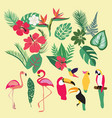 tropical set of elements vector image