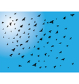 flying birds vector image vector image