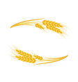 wheat ears frame vector image
