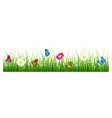 meadow grass with flowers and butterflies vector image vector image