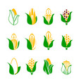 corn icon set isolated on white background vector image vector image