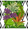seamless pattern with tropical plants and leaves vector image vector image