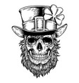 saint patrick day holiday irish celtic leprechaun vector image