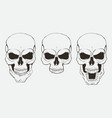 set skulls in different positions vector image vector image