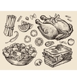 fast food hand drawn grilled chicken salad vector image