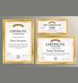 certificate template gift voucher for your vector image