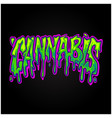 marijuana melted cannabis word hand lettering vector image vector image