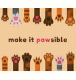 cats and dogs paws cartoon background animals vector image