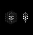 kabbalah symbol isolated sacred geometry vector image