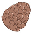 pine tree cone closed fir nut icon vector image
