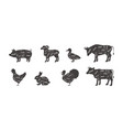 butcher diagram animal part scheme set mutton vector image