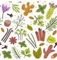 herbs amp spices seamless pattern vector image
