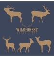 various silhouettes of deer isolated on white vector image