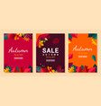 autumn sale layout set vector image