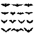 bats vector image