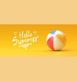 beach ball summer and vacations concept vector image vector image