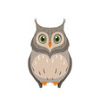 Cute owl lovely bird cartoon character front view Vector Image