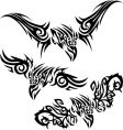 tattoos birds of prey vector image
