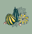 fall pumpkin squash design vector image