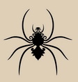 spider ornament vector image vector image