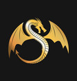 golden logo winged dragon vector image